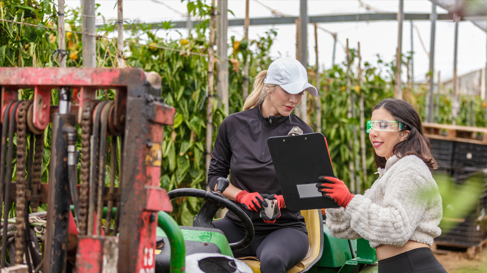 Gruppo Hangcha